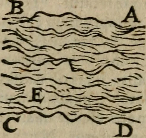 An illustration from De rerum varietate, libri XVII, 1558, leaf 559