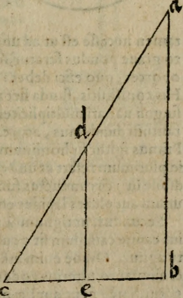 An illustration from De rerum varietate, libri XVII, 1558, leaf 562