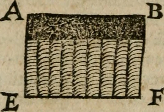 An illustration from De rerum varietate, libri XVII, 1558, leaf 655