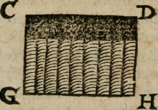 An illustration from De rerum varietate, libri XVII, 1558, leaf 655