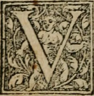An illustration from De rerum varietate, libri XVII, 1558, leaf 695