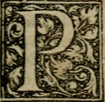 An illustration from De rerum varietate, libri XVII, 1558, leaf 732