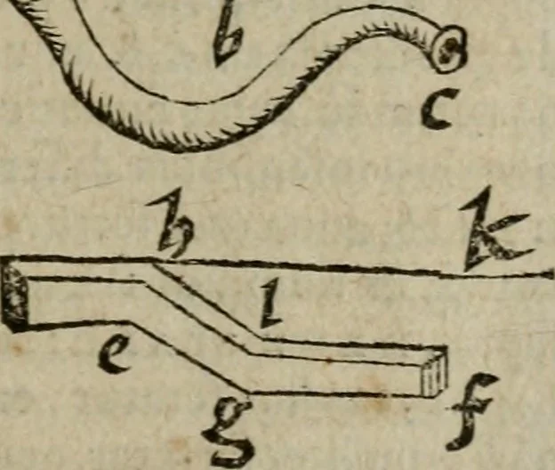 An illustration from De rerum varietate, libri XVII, 1558, leaf 74