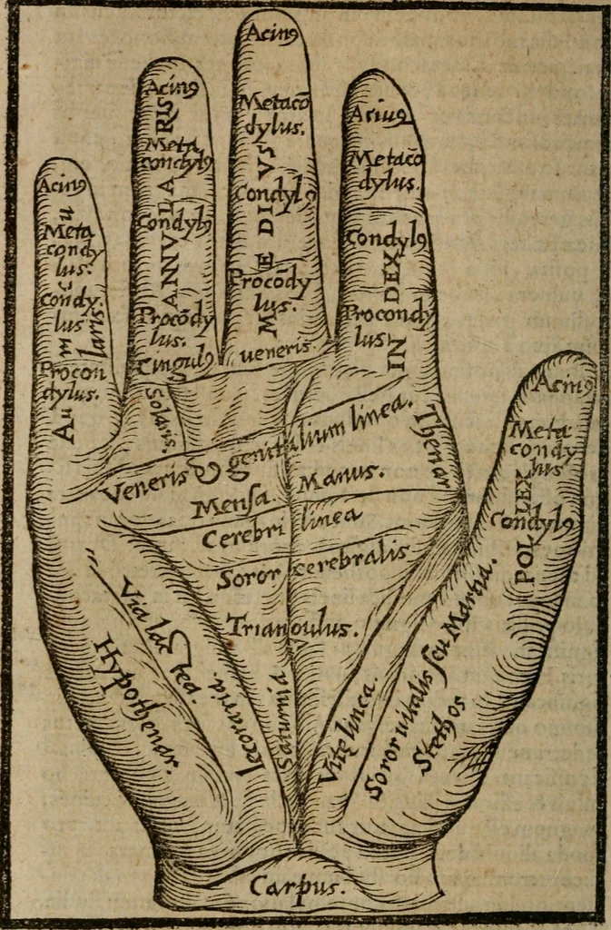 An illustration from De rerum varietate, libri XVII, 1558, leaf 741