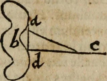An illustration from De rerum varietate, libri XVII, 1558, leaf 781