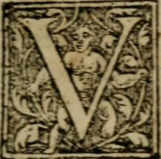 An illustration from De rerum varietate, libri XVII, 1558, leaf 794
