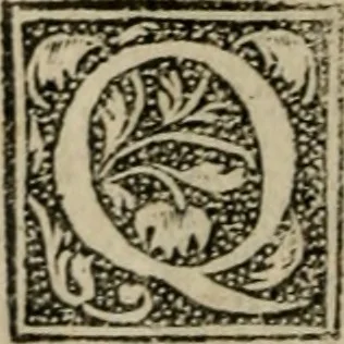 An illustration from De rerum varietate, libri XVII, 1558, leaf 89