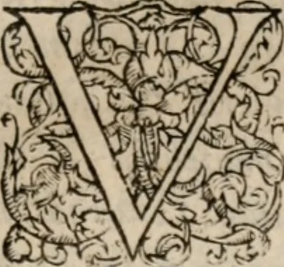 An illustration from De re vestiaria, vascularia & nauali, 1553, leaf 10