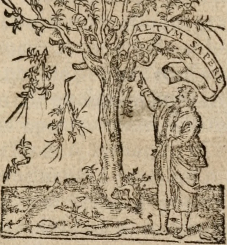 An illustration from De re vestiaria, vascularia & nauali, 1553, leaf 6