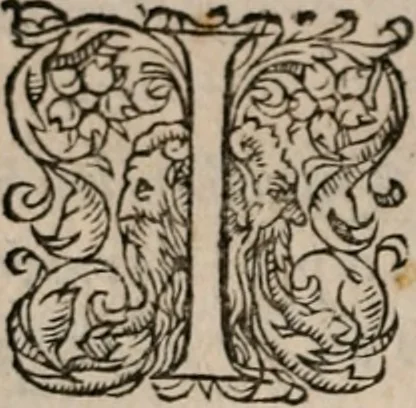An illustration from De re vestiaria, vascularia & nauali, 1553, leaf 71