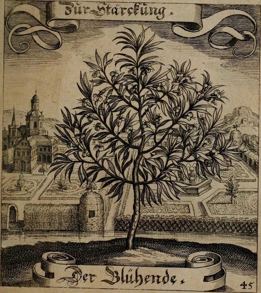 An illustration from Der Fruchtbringenden Geselschaft Nahmen, Vorhaben, Gemählde und Wörter : nach jedes Einnahme ordentlich in Kupfer gestochen, und in achtzeilige Reimgesetze verfasset, 1646, leaf 100