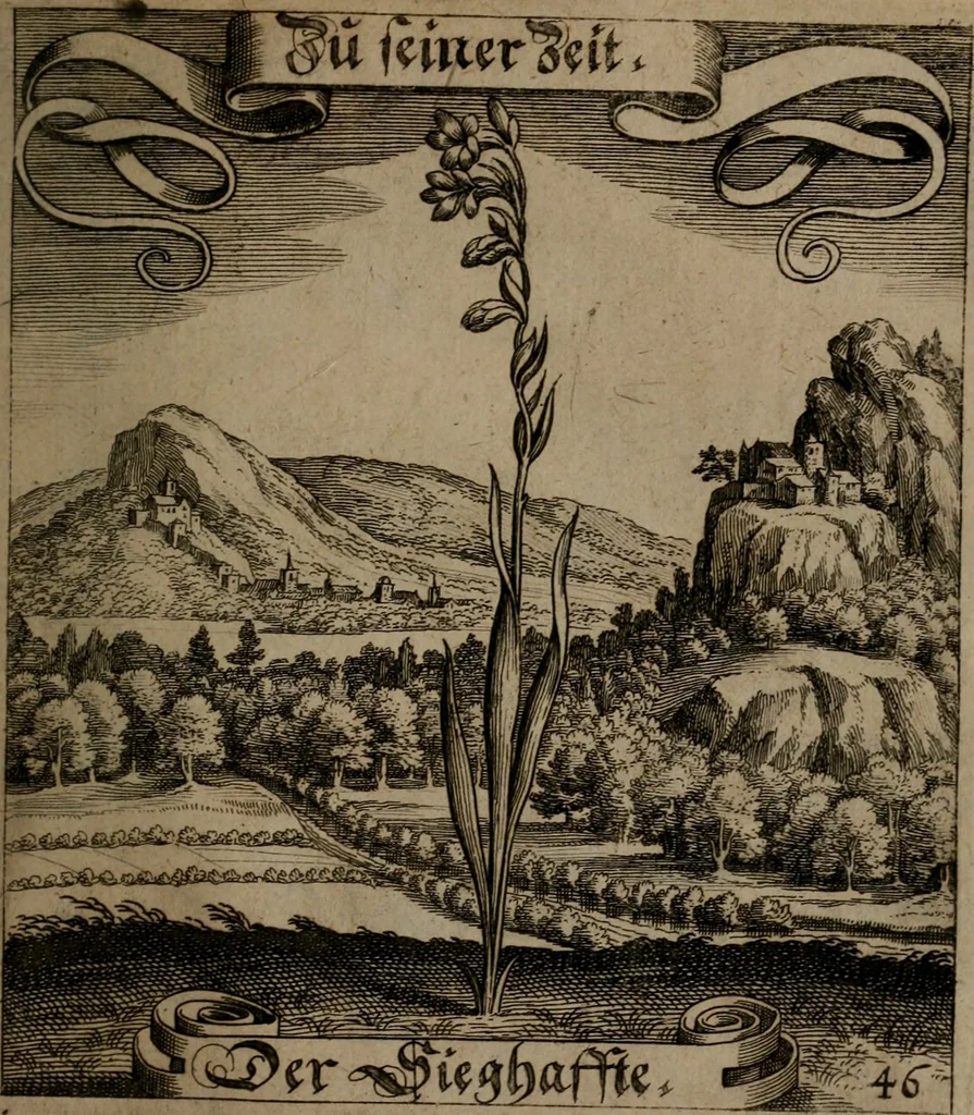 An illustration from Der Fruchtbringenden Geselschaft Nahmen, Vorhaben, Gemählde und Wörter : nach jedes Einnahme ordentlich in Kupfer gestochen, und in achtzeilige Reimgesetze verfasset, 1646, leaf 102