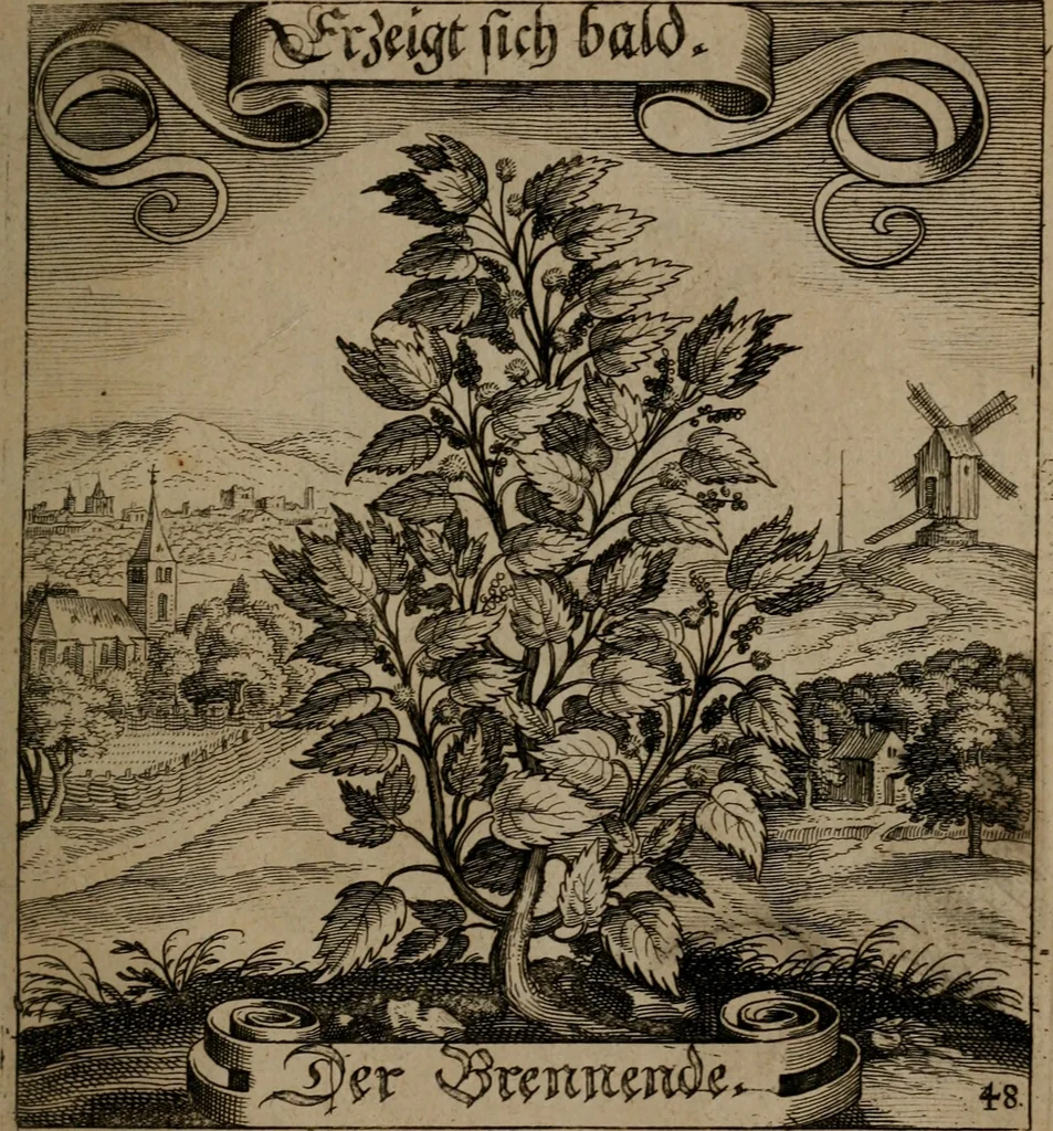 An illustration from Der Fruchtbringenden Geselschaft Nahmen, Vorhaben, Gemählde und Wörter : nach jedes Einnahme ordentlich in Kupfer gestochen, und in achtzeilige Reimgesetze verfasset, 1646, leaf 106