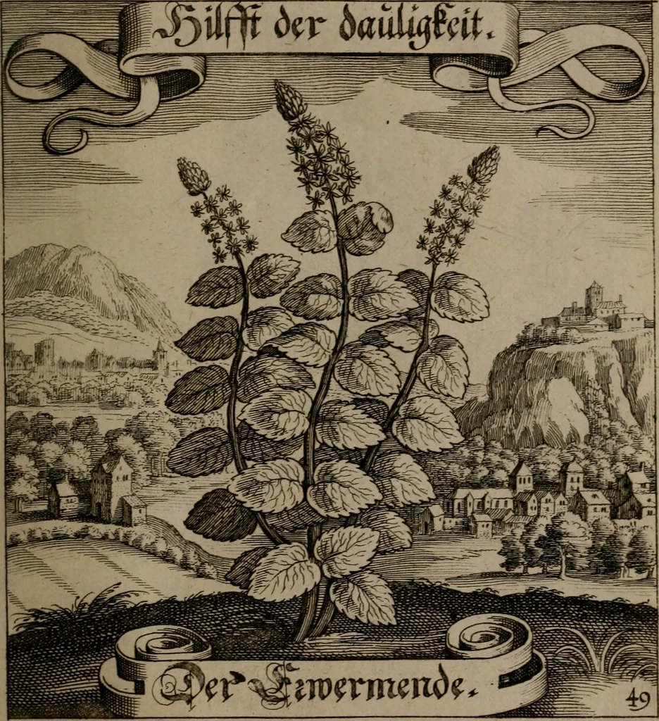 An illustration from Der Fruchtbringenden Geselschaft Nahmen, Vorhaben, Gemählde und Wörter : nach jedes Einnahme ordentlich in Kupfer gestochen, und in achtzeilige Reimgesetze verfasset, 1646, leaf 108