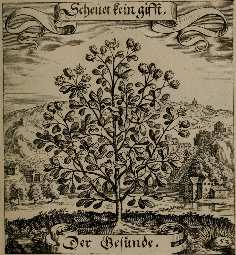 An illustration from Der Fruchtbringenden Geselschaft Nahmen, Vorhaben, Gemählde und Wörter : nach jedes Einnahme ordentlich in Kupfer gestochen, und in achtzeilige Reimgesetze verfasset, 1646, leaf 114