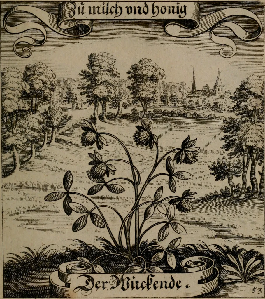 An illustration from Der Fruchtbringenden Geselschaft Nahmen, Vorhaben, Gemählde und Wörter : nach jedes Einnahme ordentlich in Kupfer gestochen, und in achtzeilige Reimgesetze verfasset, 1646, leaf 116
