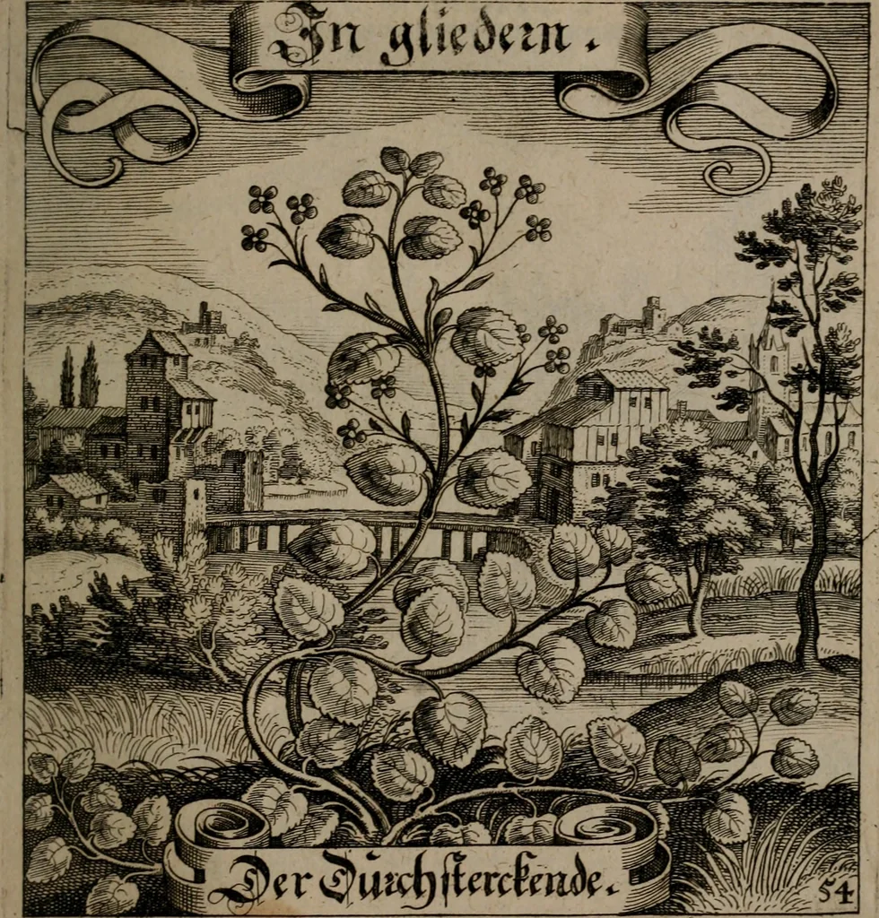 An illustration from Der Fruchtbringenden Geselschaft Nahmen, Vorhaben, Gemählde und Wörter : nach jedes Einnahme ordentlich in Kupfer gestochen, und in achtzeilige Reimgesetze verfasset, 1646, leaf 118