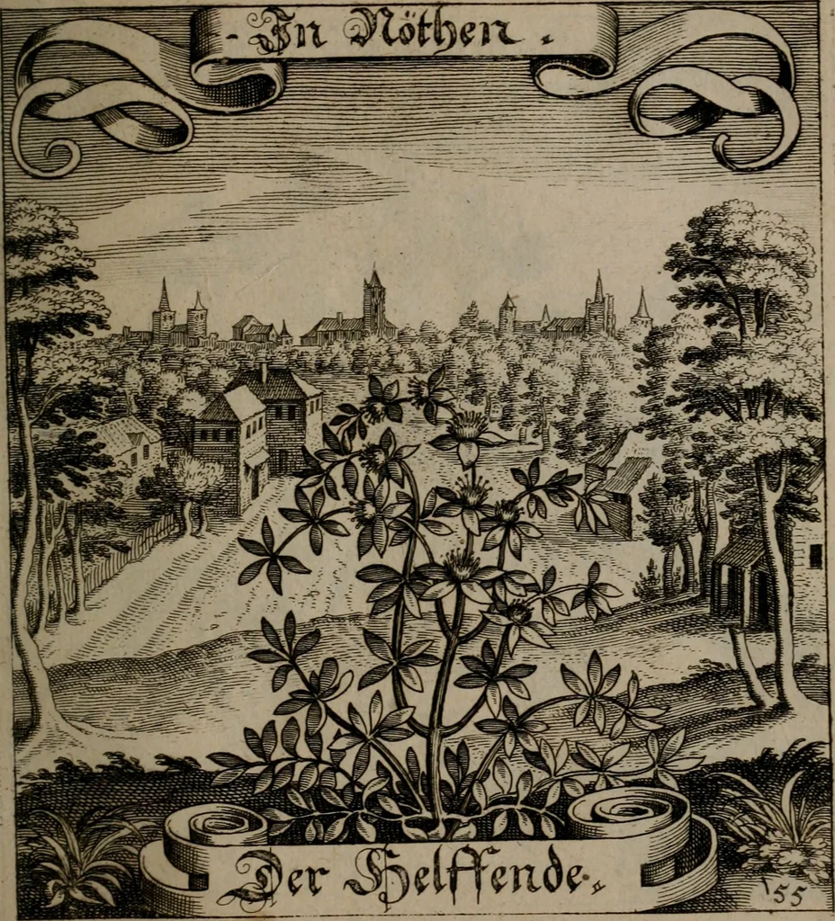 An illustration from Der Fruchtbringenden Geselschaft Nahmen, Vorhaben, Gemählde und Wörter : nach jedes Einnahme ordentlich in Kupfer gestochen, und in achtzeilige Reimgesetze verfasset, 1646, leaf 120