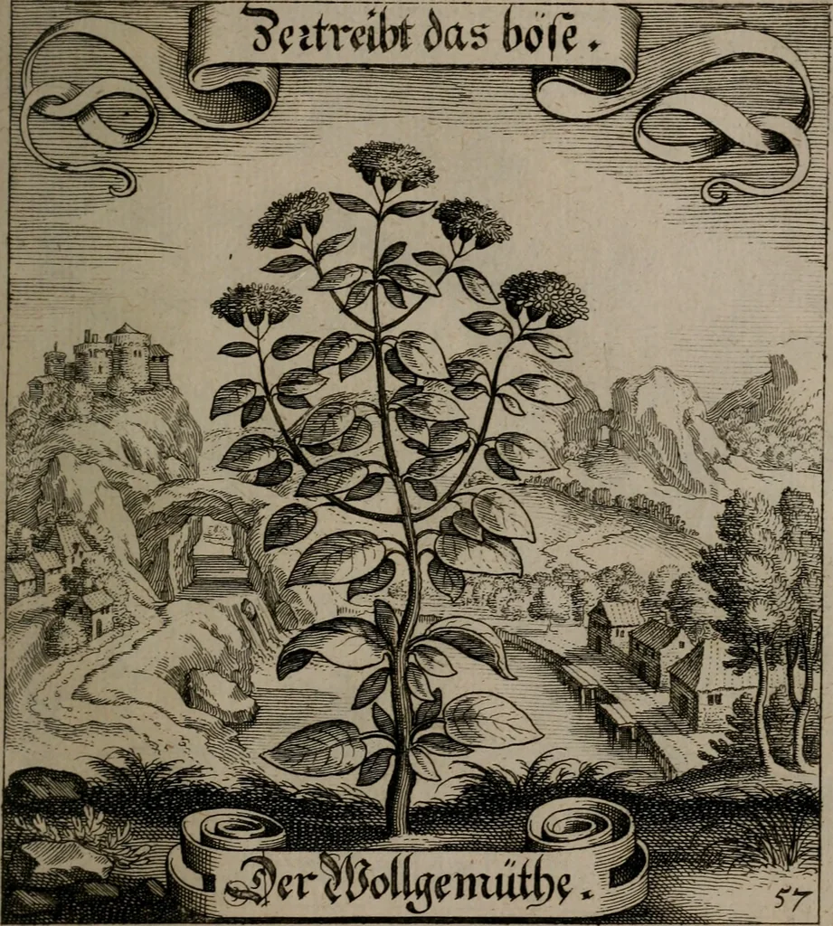 An illustration from Der Fruchtbringenden Geselschaft Nahmen, Vorhaben, Gemählde und Wörter : nach jedes Einnahme ordentlich in Kupfer gestochen, und in achtzeilige Reimgesetze verfasset, 1646, leaf 124