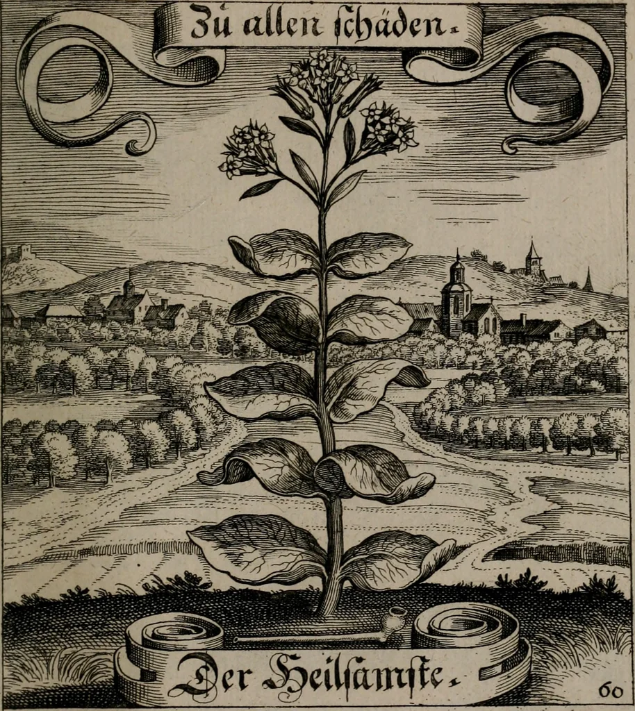 An illustration from Der Fruchtbringenden Geselschaft Nahmen, Vorhaben, Gemählde und Wörter : nach jedes Einnahme ordentlich in Kupfer gestochen, und in achtzeilige Reimgesetze verfasset, 1646, leaf 130
