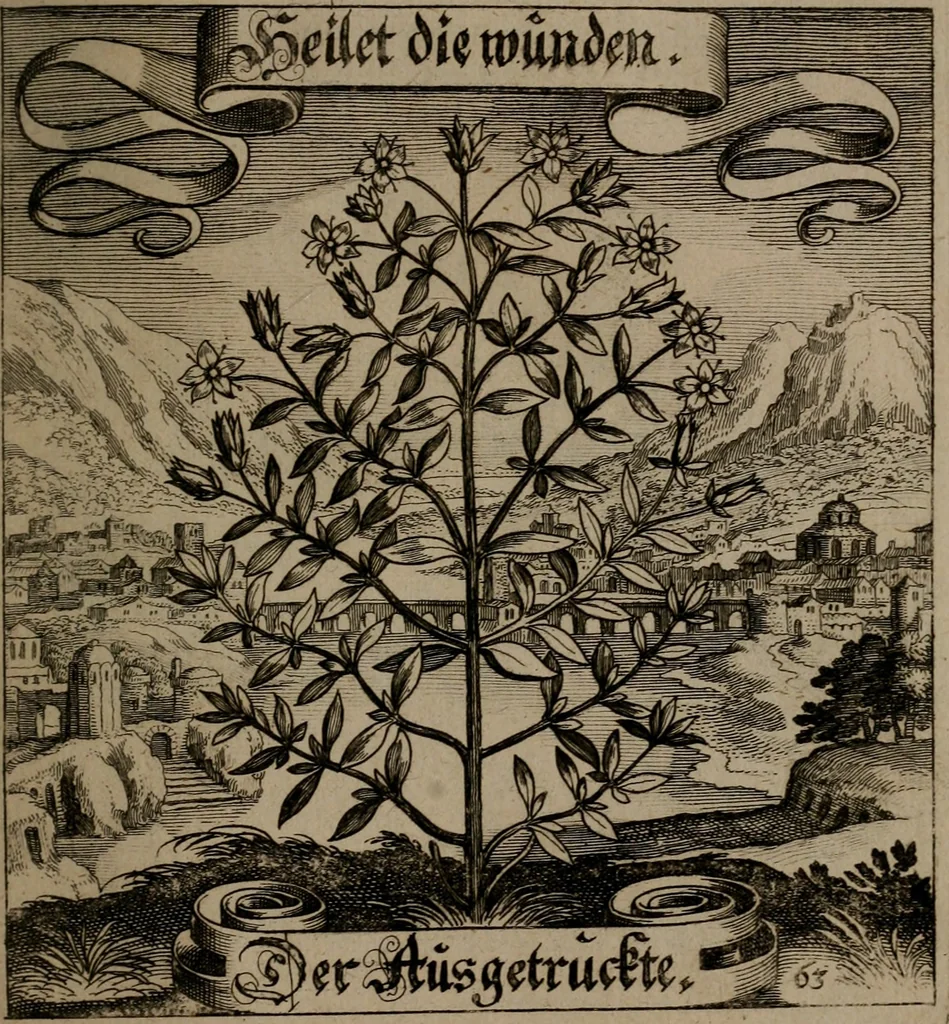 An illustration from Der Fruchtbringenden Geselschaft Nahmen, Vorhaben, Gemählde und Wörter : nach jedes Einnahme ordentlich in Kupfer gestochen, und in achtzeilige Reimgesetze verfasset, 1646, leaf 136