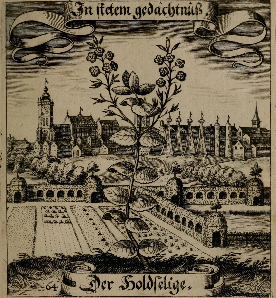 An illustration from Der Fruchtbringenden Geselschaft Nahmen, Vorhaben, Gemählde und Wörter : nach jedes Einnahme ordentlich in Kupfer gestochen, und in achtzeilige Reimgesetze verfasset, 1646, leaf 138
