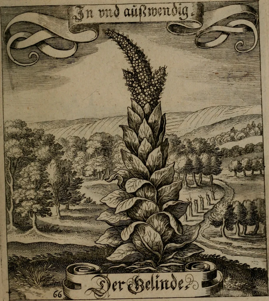 An illustration from Der Fruchtbringenden Geselschaft Nahmen, Vorhaben, Gemählde und Wörter : nach jedes Einnahme ordentlich in Kupfer gestochen, und in achtzeilige Reimgesetze verfasset, 1646, leaf 142