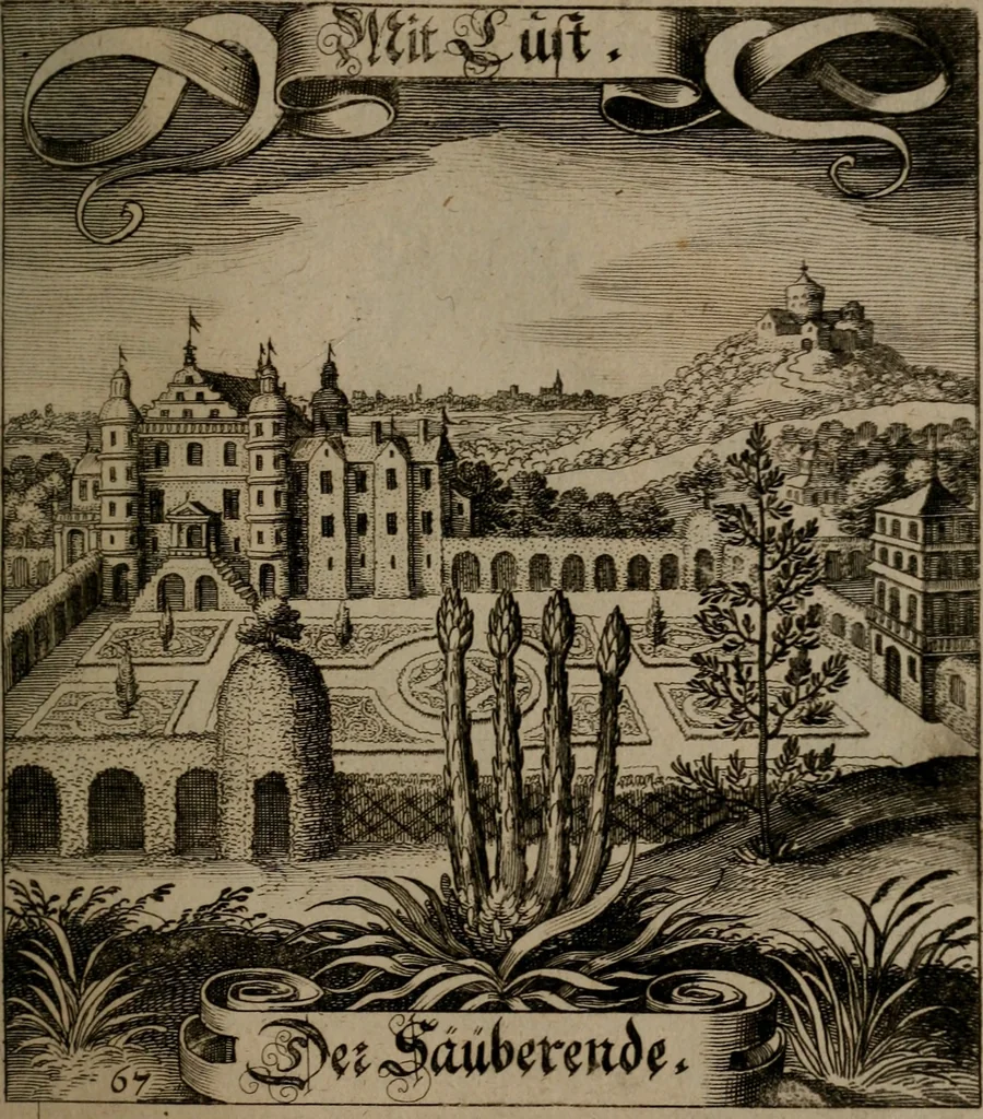 An illustration from Der Fruchtbringenden Geselschaft Nahmen, Vorhaben, Gemählde und Wörter : nach jedes Einnahme ordentlich in Kupfer gestochen, und in achtzeilige Reimgesetze verfasset, 1646, leaf 144