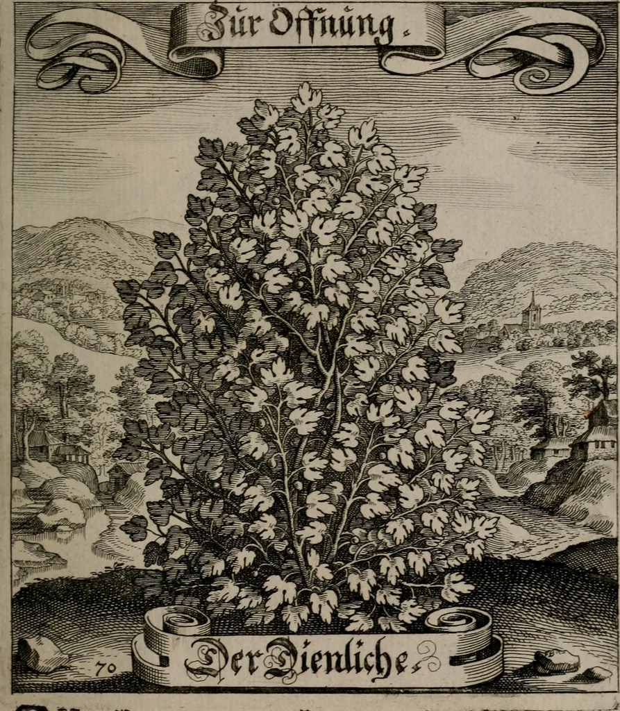 An illustration from Der Fruchtbringenden Geselschaft Nahmen, Vorhaben, Gemählde und Wörter : nach jedes Einnahme ordentlich in Kupfer gestochen, und in achtzeilige Reimgesetze verfasset, 1646, leaf 150