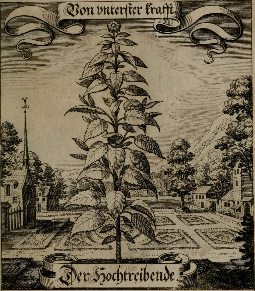 An illustration from Der Fruchtbringenden Geselschaft Nahmen, Vorhaben, Gemählde und Wörter : nach jedes Einnahme ordentlich in Kupfer gestochen, und in achtzeilige Reimgesetze verfasset, 1646, leaf 156