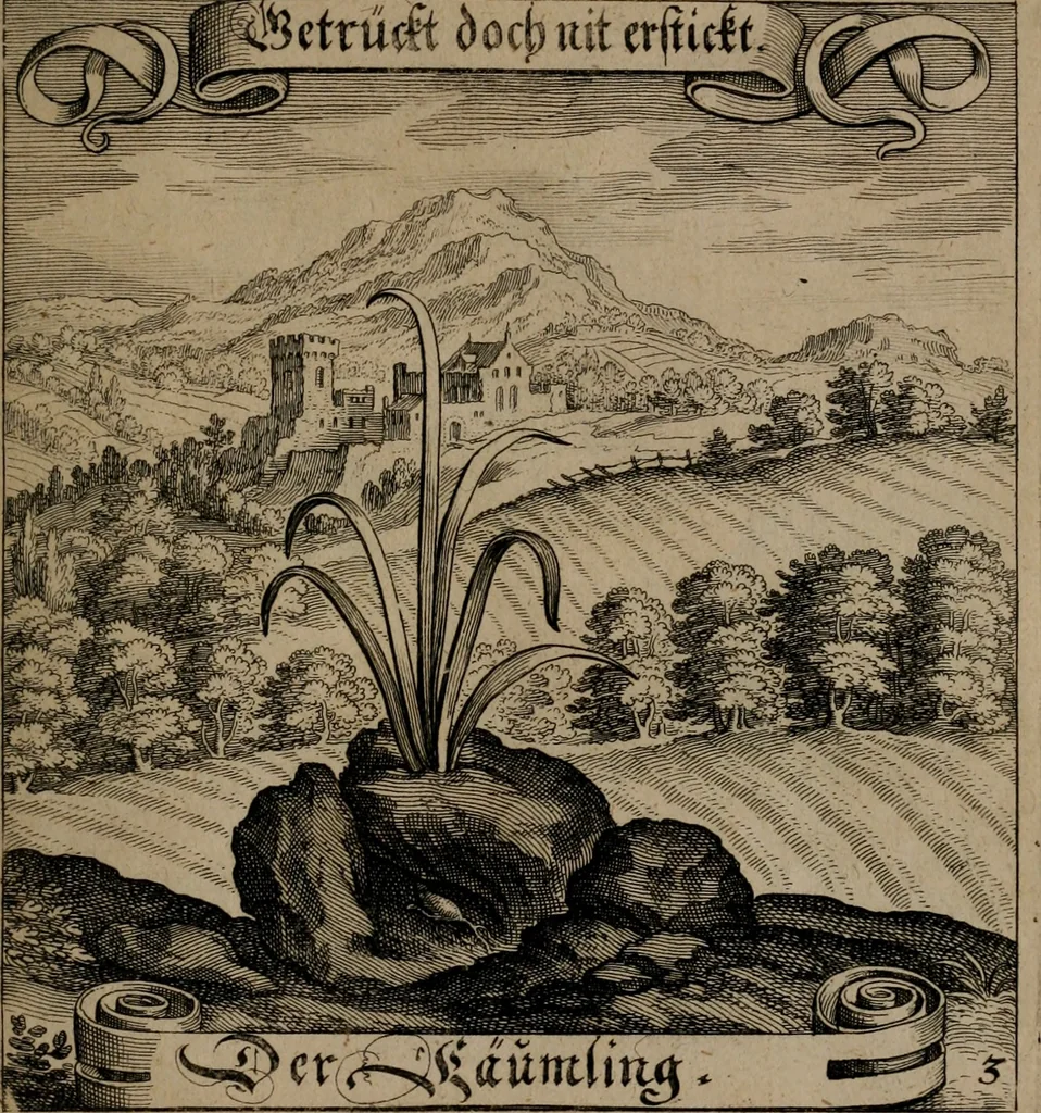 An illustration from Der Fruchtbringenden Geselschaft Nahmen, Vorhaben, Gemählde und Wörter : nach jedes Einnahme ordentlich in Kupfer gestochen, und in achtzeilige Reimgesetze verfasset, 1646, leaf 16