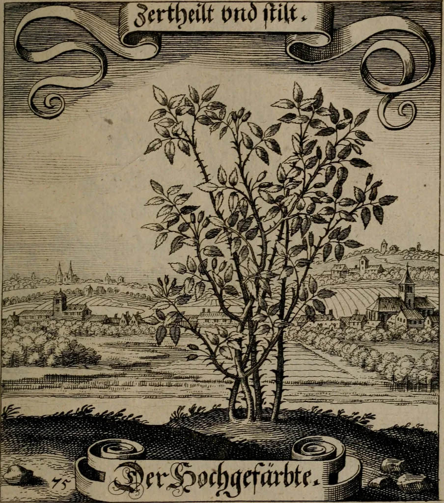 An illustration from Der Fruchtbringenden Geselschaft Nahmen, Vorhaben, Gemählde und Wörter : nach jedes Einnahme ordentlich in Kupfer gestochen, und in achtzeilige Reimgesetze verfasset, 1646, leaf 160