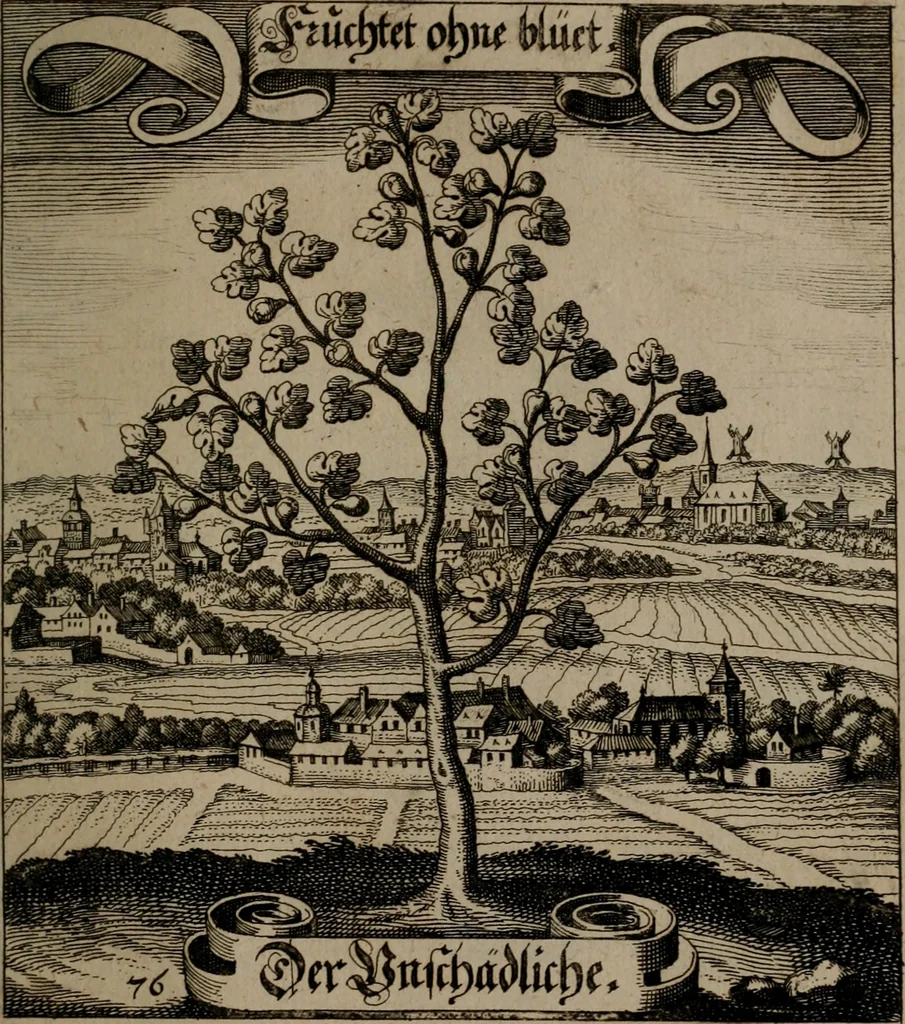 An illustration from Der Fruchtbringenden Geselschaft Nahmen, Vorhaben, Gemählde und Wörter : nach jedes Einnahme ordentlich in Kupfer gestochen, und in achtzeilige Reimgesetze verfasset, 1646, leaf 162