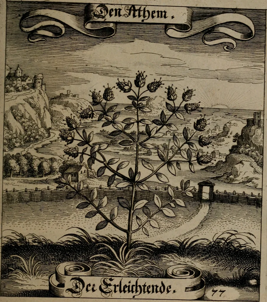 An illustration from Der Fruchtbringenden Geselschaft Nahmen, Vorhaben, Gemählde und Wörter : nach jedes Einnahme ordentlich in Kupfer gestochen, und in achtzeilige Reimgesetze verfasset, 1646, leaf 164