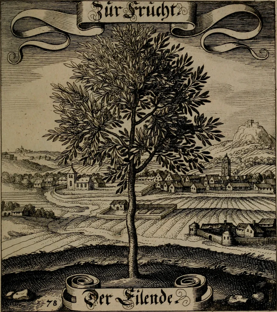An illustration from Der Fruchtbringenden Geselschaft Nahmen, Vorhaben, Gemählde und Wörter : nach jedes Einnahme ordentlich in Kupfer gestochen, und in achtzeilige Reimgesetze verfasset, 1646, leaf 166