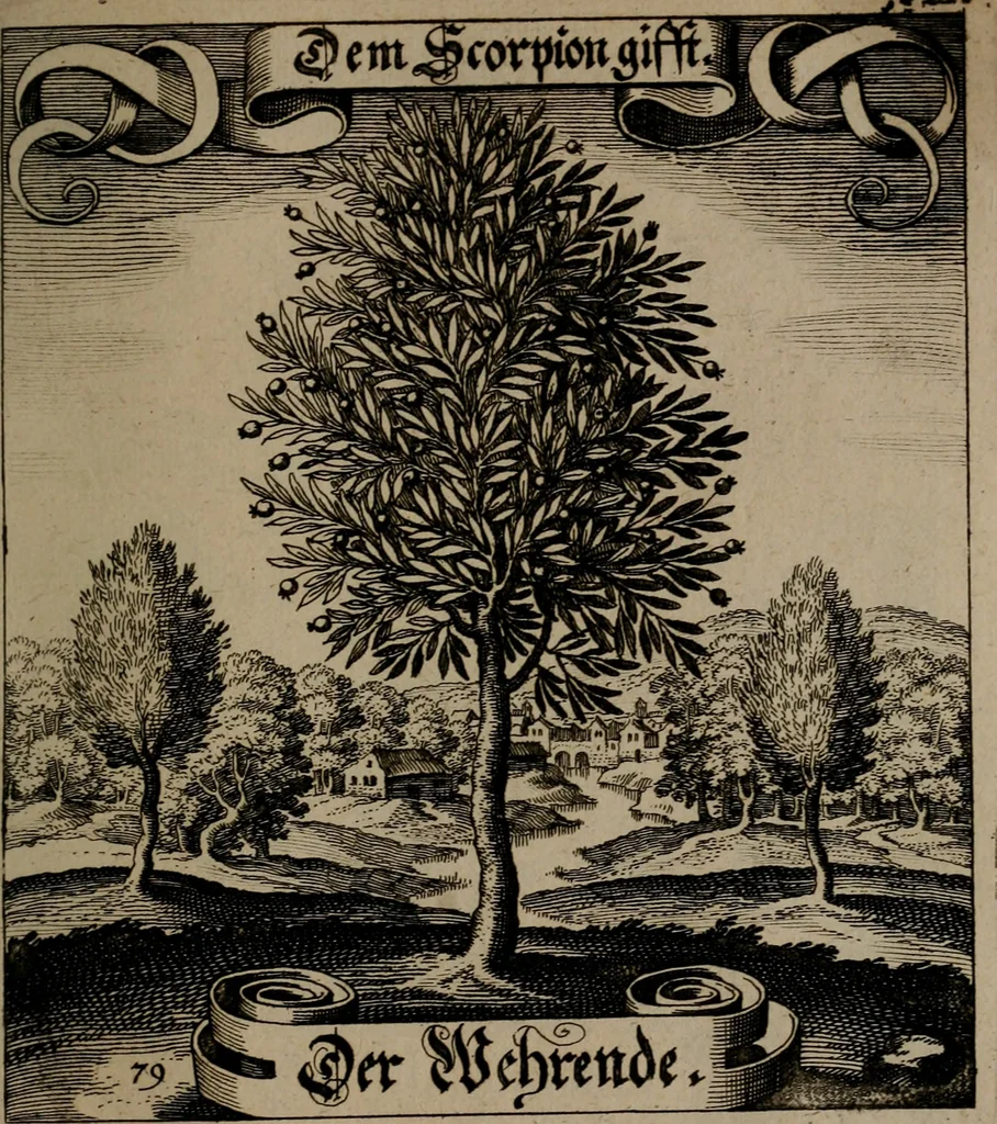 An illustration from Der Fruchtbringenden Geselschaft Nahmen, Vorhaben, Gemählde und Wörter : nach jedes Einnahme ordentlich in Kupfer gestochen, und in achtzeilige Reimgesetze verfasset, 1646, leaf 168