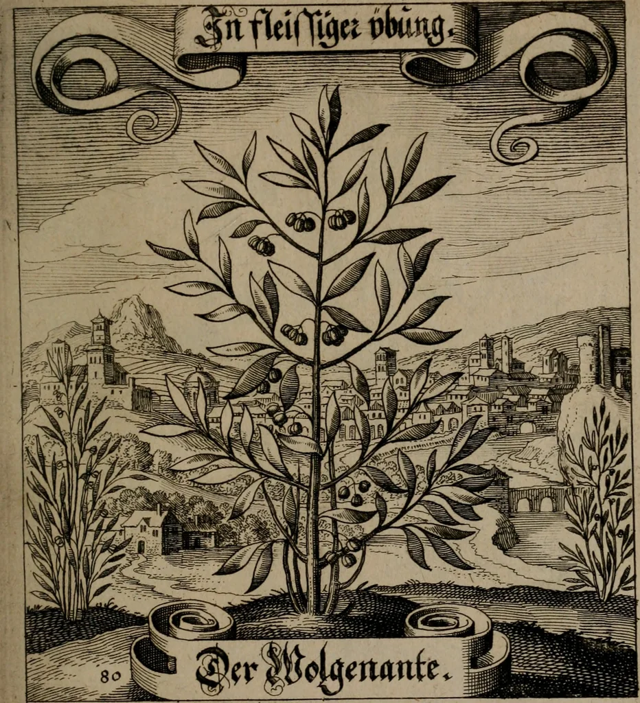 An illustration from Der Fruchtbringenden Geselschaft Nahmen, Vorhaben, Gemählde und Wörter : nach jedes Einnahme ordentlich in Kupfer gestochen, und in achtzeilige Reimgesetze verfasset, 1646, leaf 170