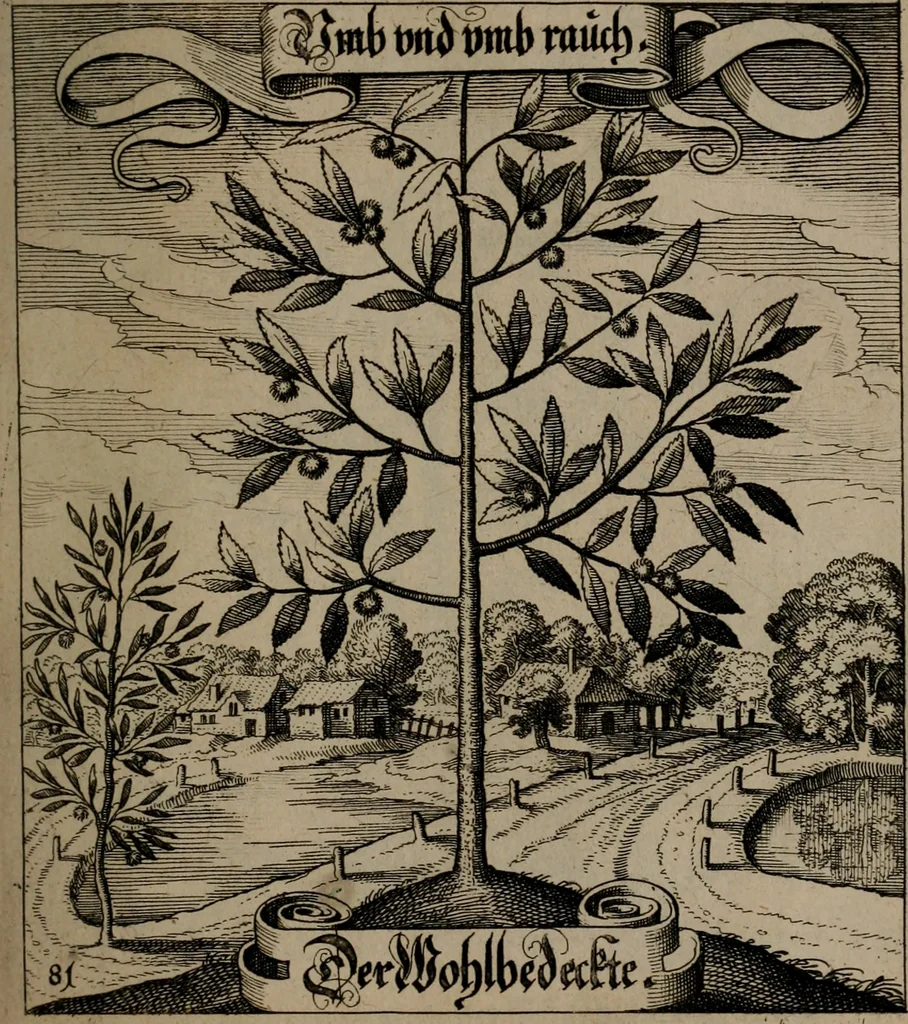 An illustration from Der Fruchtbringenden Geselschaft Nahmen, Vorhaben, Gemählde und Wörter : nach jedes Einnahme ordentlich in Kupfer gestochen, und in achtzeilige Reimgesetze verfasset, 1646, leaf 172