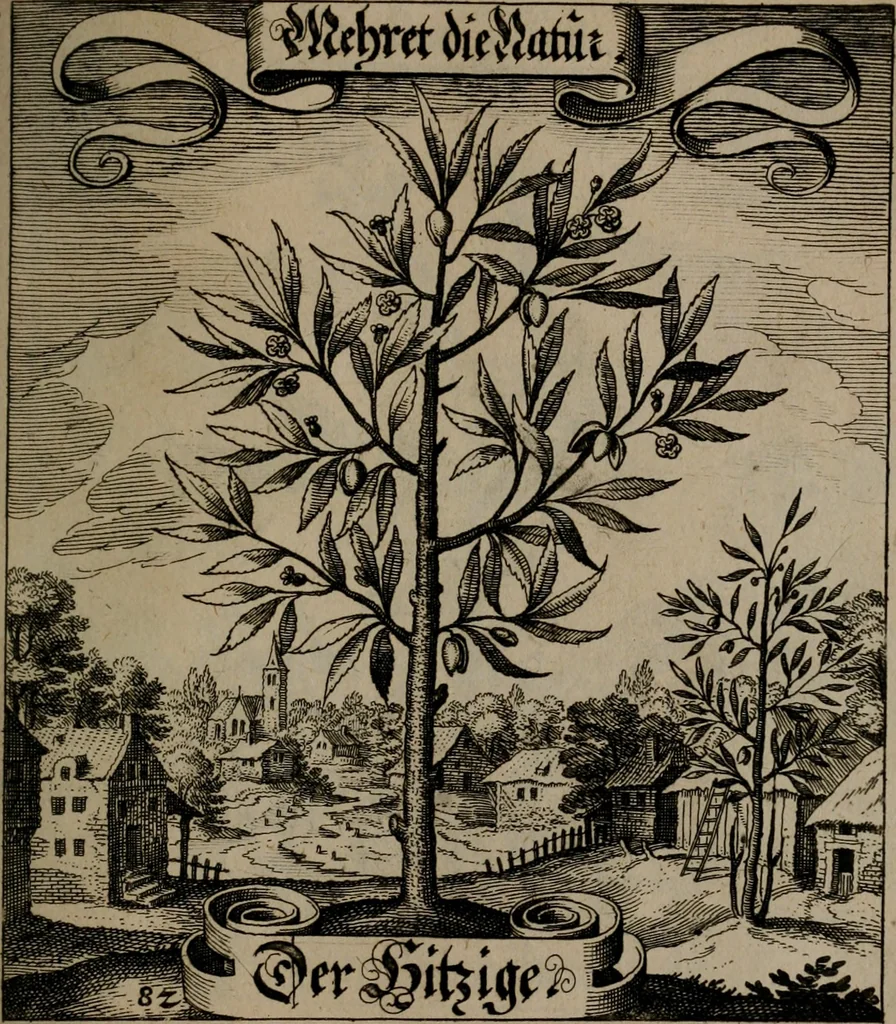 An illustration from Der Fruchtbringenden Geselschaft Nahmen, Vorhaben, Gemählde und Wörter : nach jedes Einnahme ordentlich in Kupfer gestochen, und in achtzeilige Reimgesetze verfasset, 1646, leaf 174
