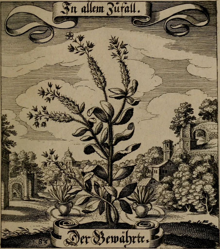 An illustration from Der Fruchtbringenden Geselschaft Nahmen, Vorhaben, Gemählde und Wörter : nach jedes Einnahme ordentlich in Kupfer gestochen, und in achtzeilige Reimgesetze verfasset, 1646, leaf 176