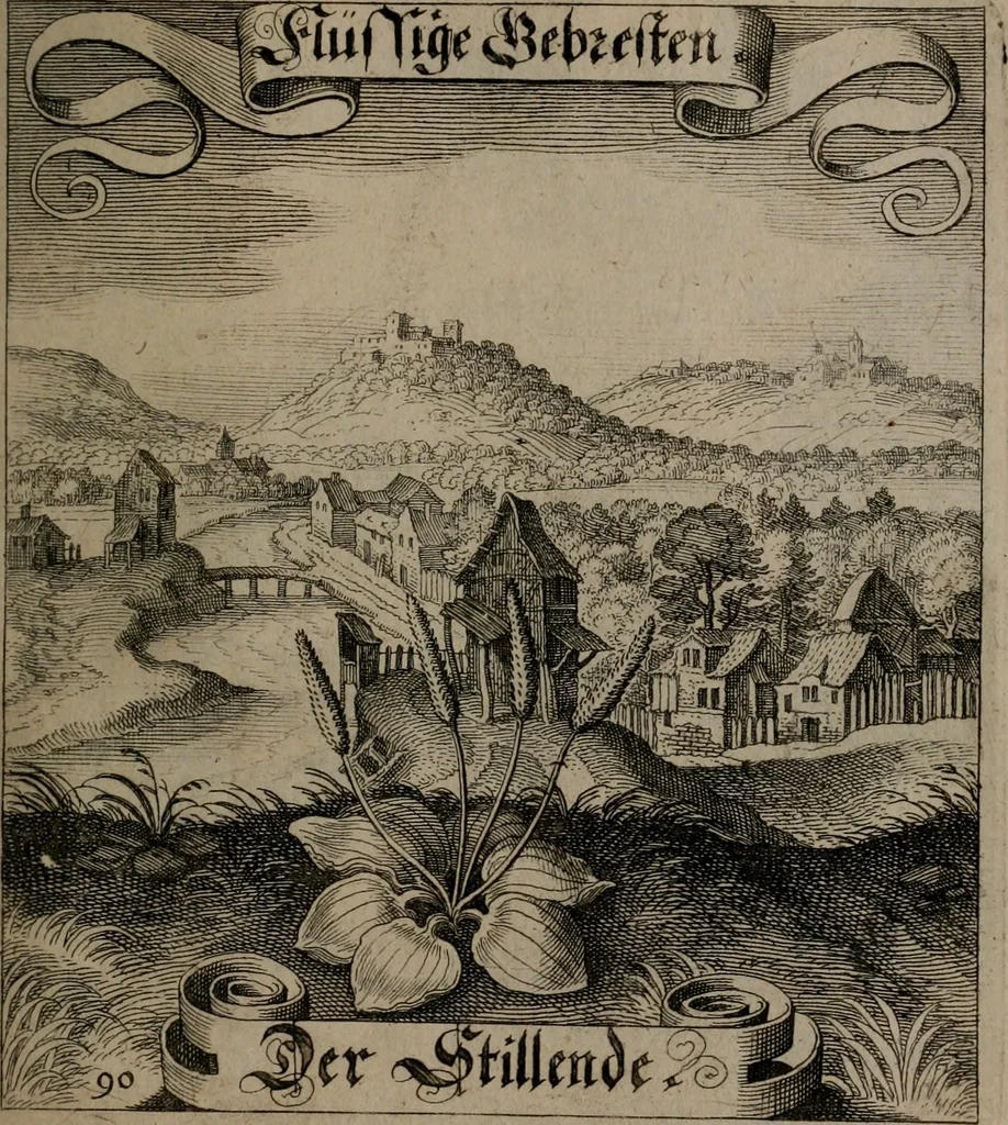 An illustration from Der Fruchtbringenden Geselschaft Nahmen, Vorhaben, Gemählde und Wörter : nach jedes Einnahme ordentlich in Kupfer gestochen, und in achtzeilige Reimgesetze verfasset, 1646, leaf 190