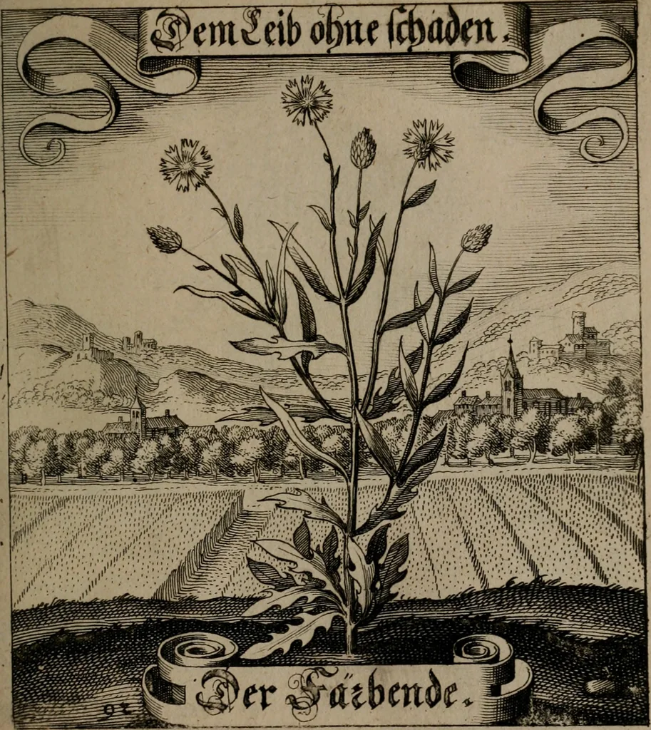 An illustration from Der Fruchtbringenden Geselschaft Nahmen, Vorhaben, Gemählde und Wörter : nach jedes Einnahme ordentlich in Kupfer gestochen, und in achtzeilige Reimgesetze verfasset, 1646, leaf 194