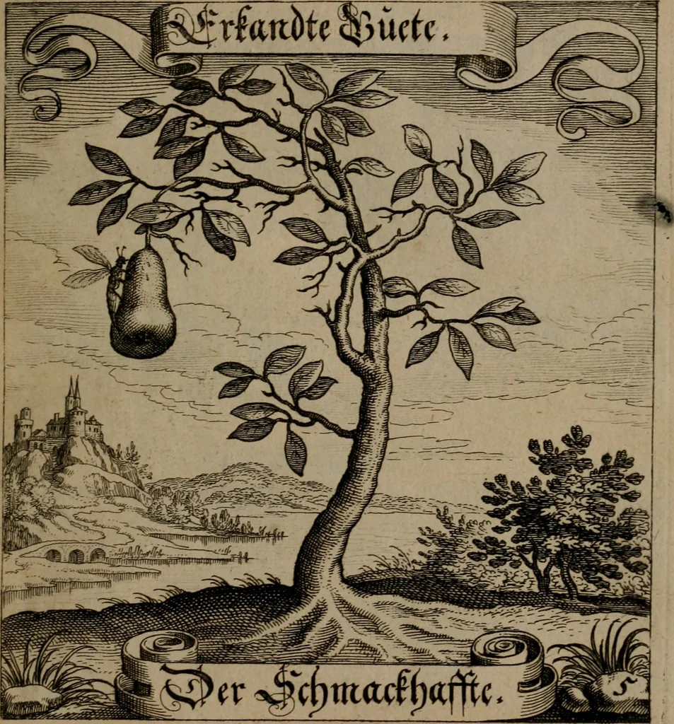 An illustration from Der Fruchtbringenden Geselschaft Nahmen, Vorhaben, Gemählde und Wörter : nach jedes Einnahme ordentlich in Kupfer gestochen, und in achtzeilige Reimgesetze verfasset, 1646, leaf 20