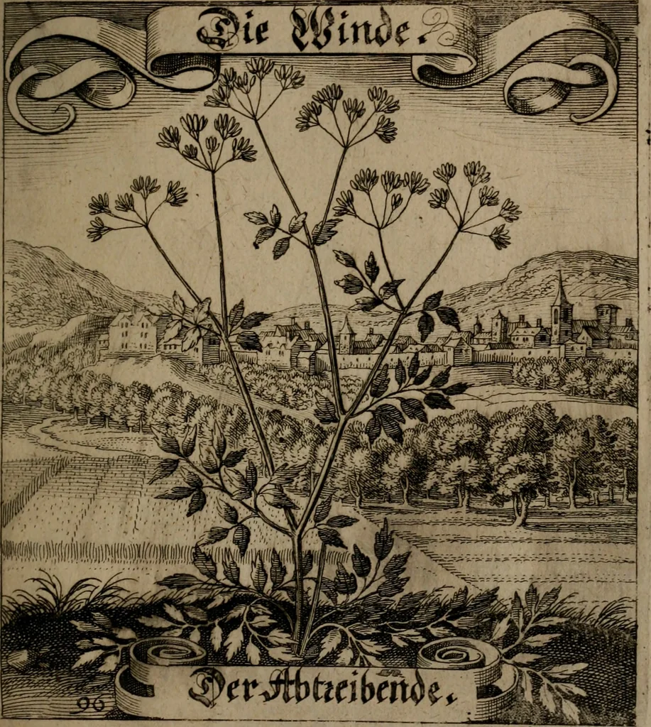 An illustration from Der Fruchtbringenden Geselschaft Nahmen, Vorhaben, Gemählde und Wörter : nach jedes Einnahme ordentlich in Kupfer gestochen, und in achtzeilige Reimgesetze verfasset, 1646, leaf 202