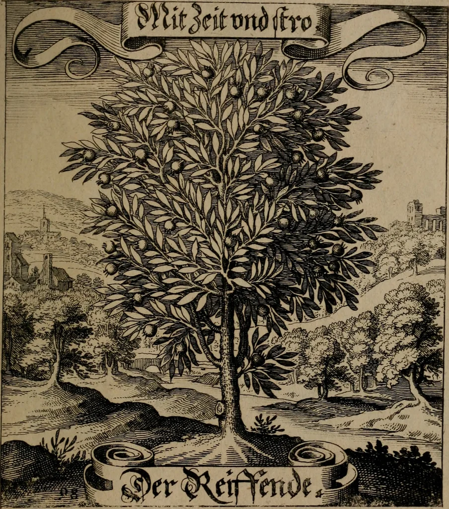 An illustration from Der Fruchtbringenden Geselschaft Nahmen, Vorhaben, Gemählde und Wörter : nach jedes Einnahme ordentlich in Kupfer gestochen, und in achtzeilige Reimgesetze verfasset, 1646, leaf 206