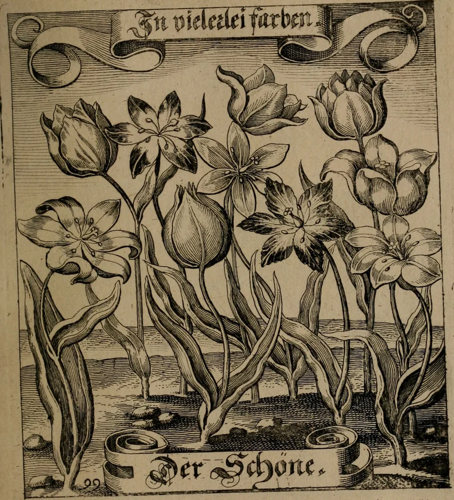 An illustration from Der Fruchtbringenden Geselschaft Nahmen, Vorhaben, Gemählde und Wörter : nach jedes Einnahme ordentlich in Kupfer gestochen, und in achtzeilige Reimgesetze verfasset, 1646, leaf 208