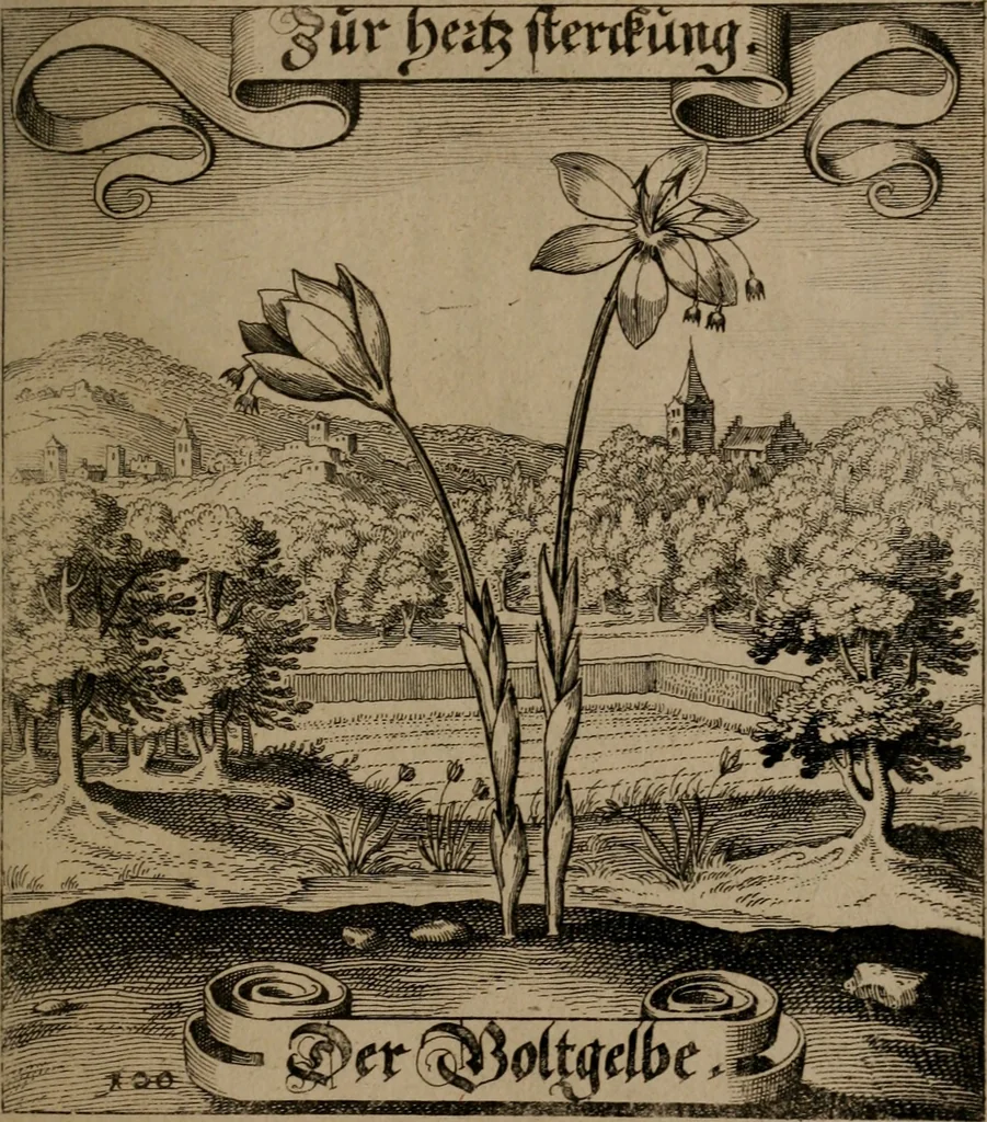 An illustration from Der Fruchtbringenden Geselschaft Nahmen, Vorhaben, Gemählde und Wörter : nach jedes Einnahme ordentlich in Kupfer gestochen, und in achtzeilige Reimgesetze verfasset, 1646, leaf 210