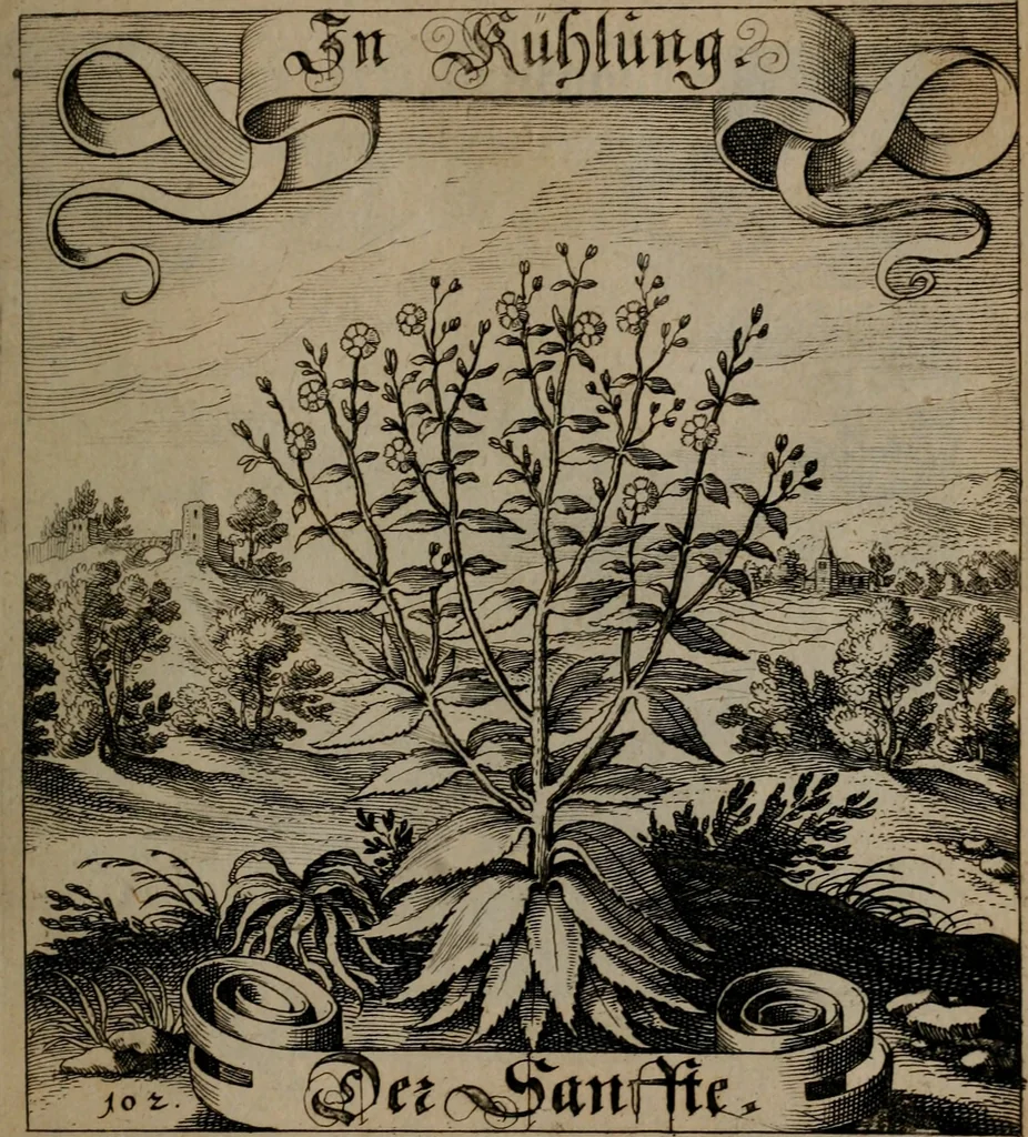 An illustration from Der Fruchtbringenden Geselschaft Nahmen, Vorhaben, Gemählde und Wörter : nach jedes Einnahme ordentlich in Kupfer gestochen, und in achtzeilige Reimgesetze verfasset, 1646, leaf 218