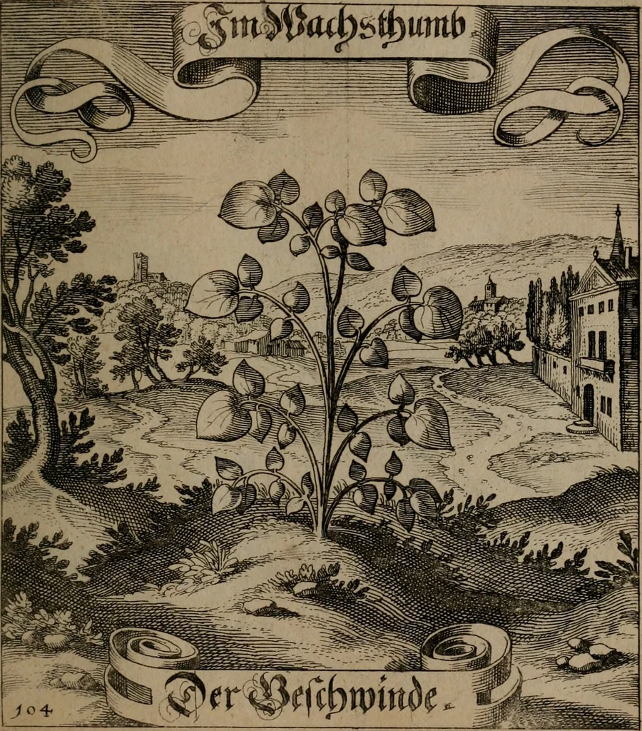 An illustration from Der Fruchtbringenden Geselschaft Nahmen, Vorhaben, Gemählde und Wörter : nach jedes Einnahme ordentlich in Kupfer gestochen, und in achtzeilige Reimgesetze verfasset, 1646, leaf 222