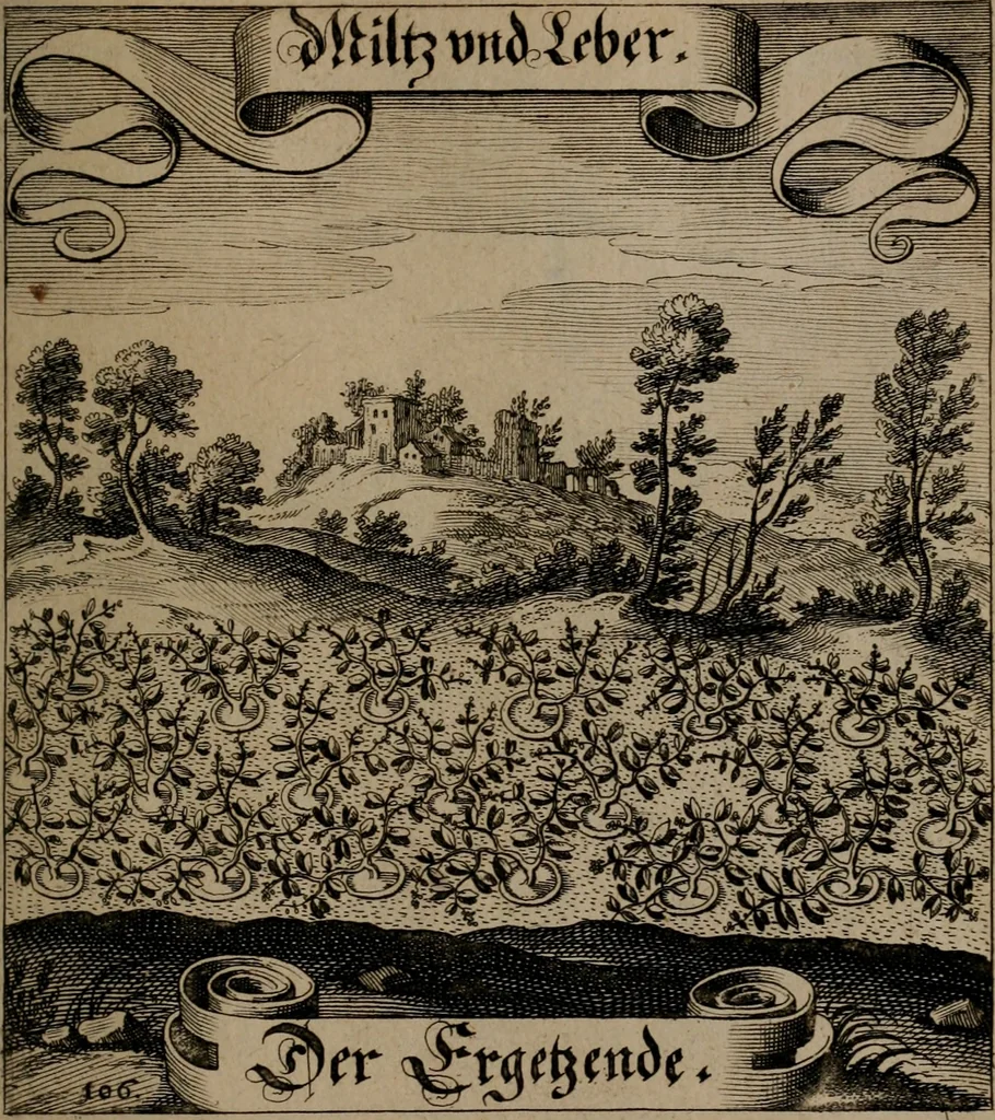 An illustration from Der Fruchtbringenden Geselschaft Nahmen, Vorhaben, Gemählde und Wörter : nach jedes Einnahme ordentlich in Kupfer gestochen, und in achtzeilige Reimgesetze verfasset, 1646, leaf 226